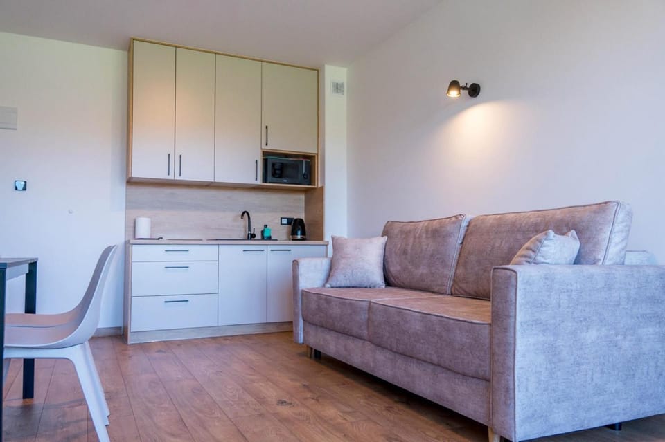 Kitchen or kitchenette, Living room, Seating area
