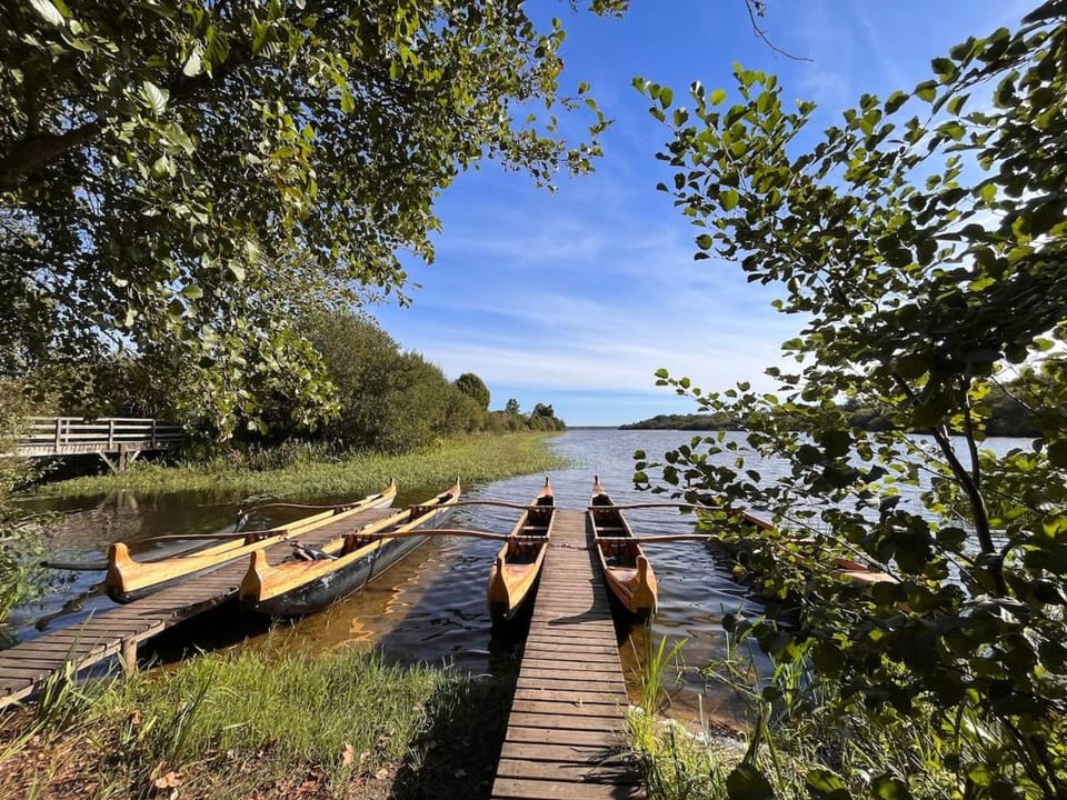 Magnifique villa entre Lac et Océan Villa in Mimizan