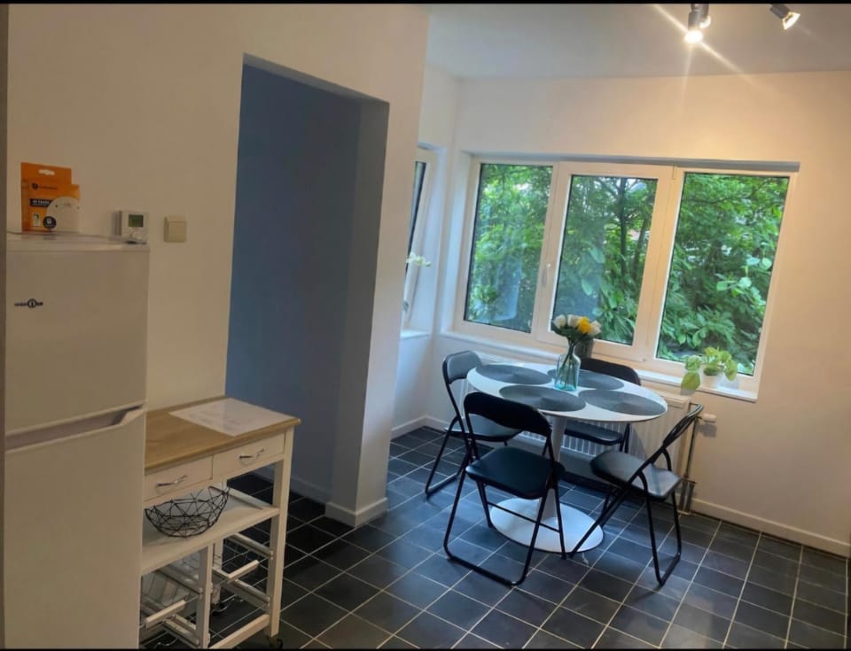 Kitchen or kitchenette, kitchen
