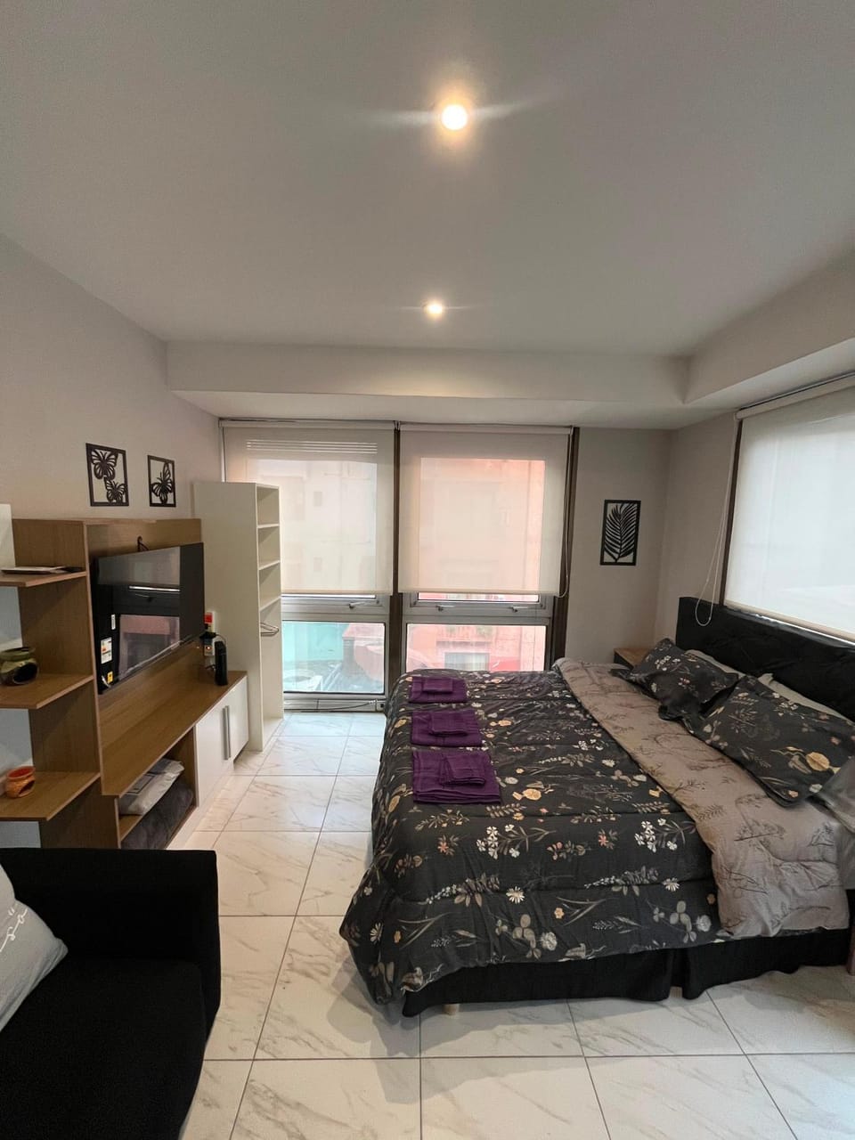 Nuevo esmeralda Apartment in Buenos Aires