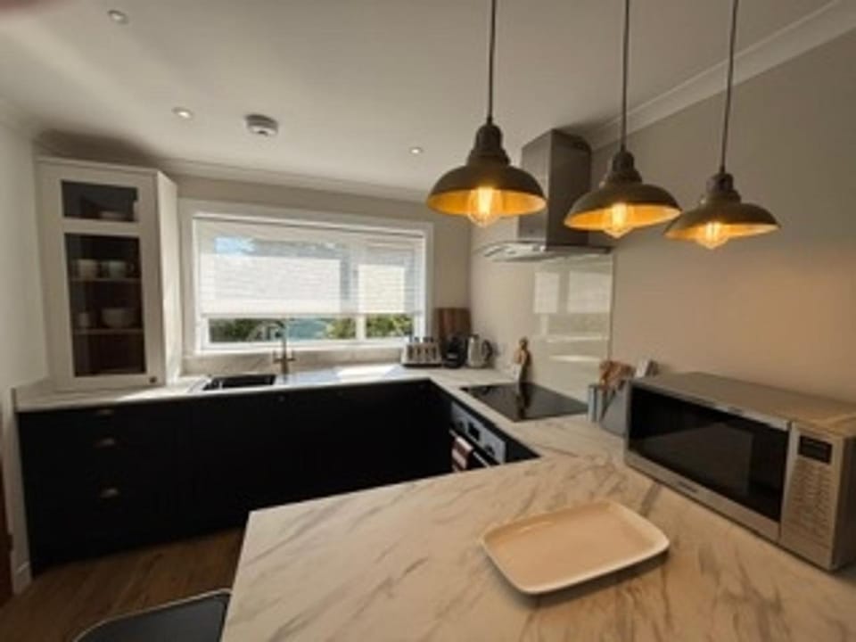 Kitchen or kitchenette, Decorative detail, microwave, minibar, oven, stove