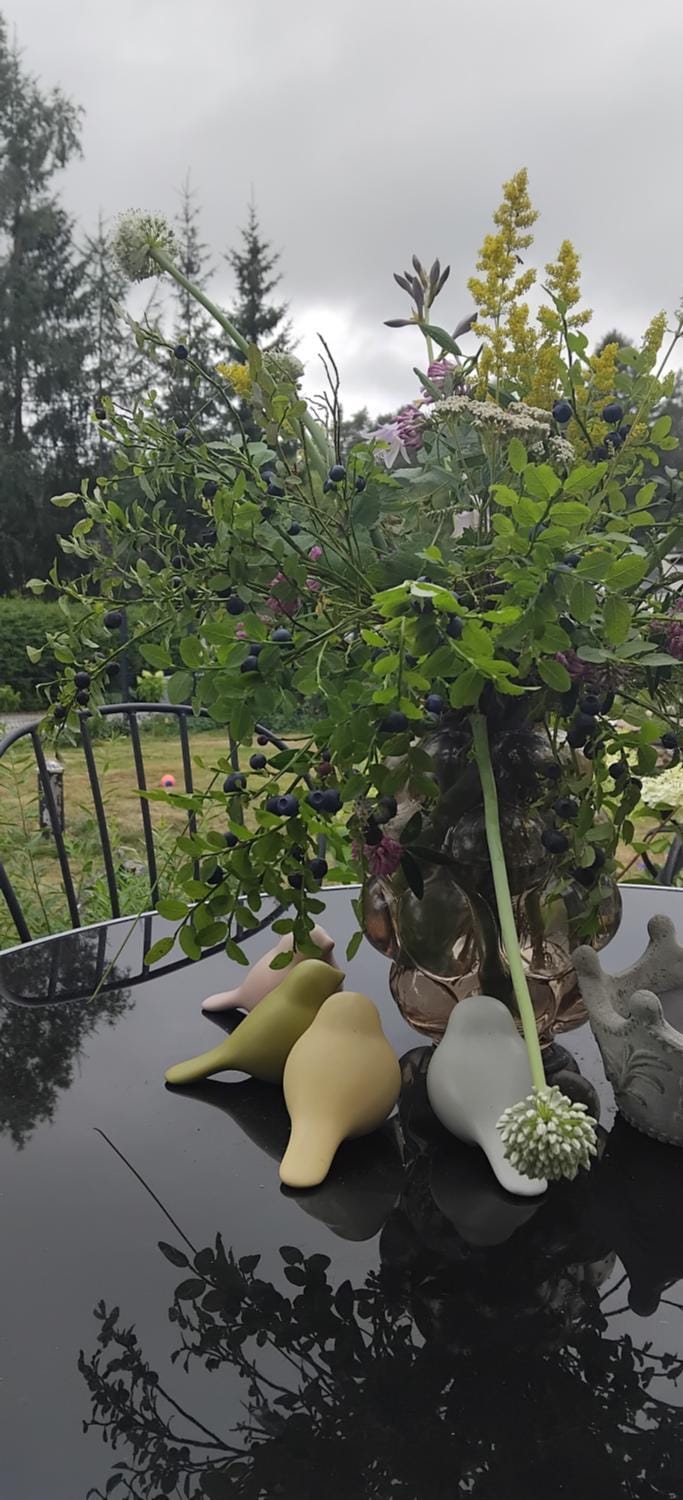 Rosgarden Vacation rental in Stockholm County
