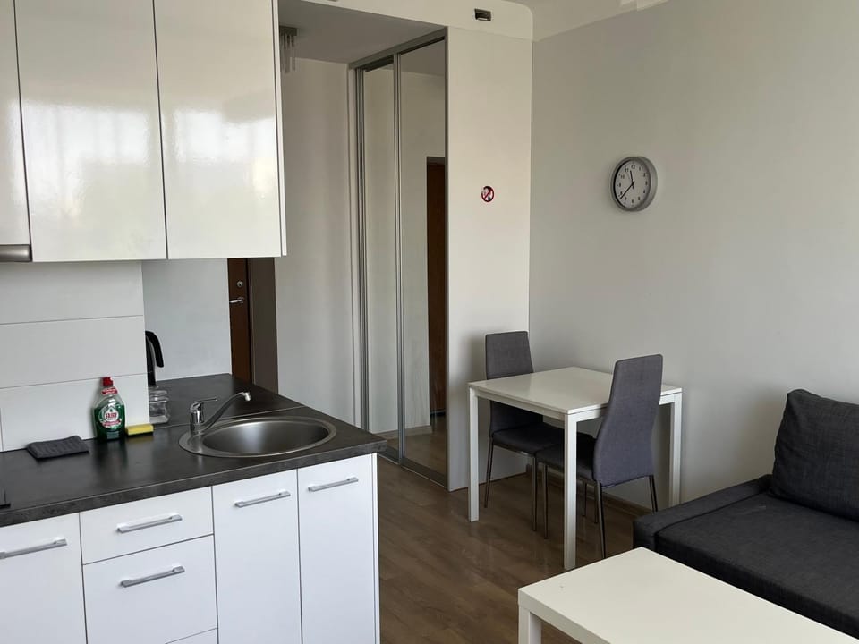 VILNIUS central apartments Apartment in Vilnius