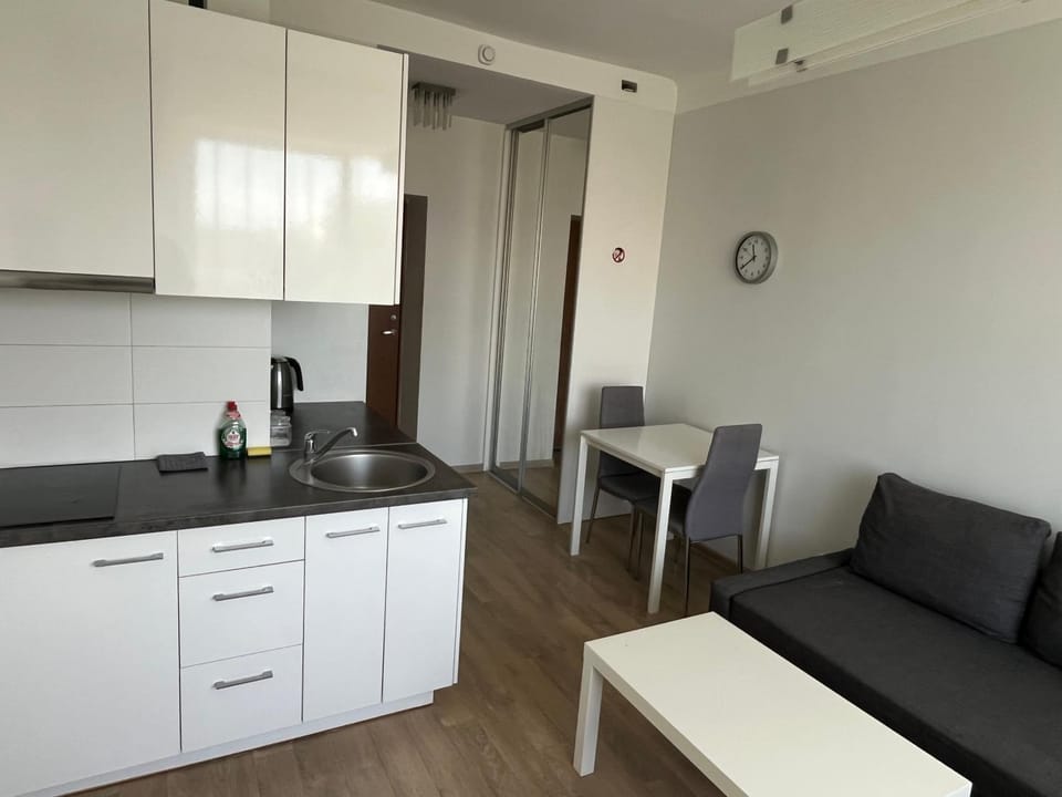 VILNIUS central apartments Apartment in Vilnius