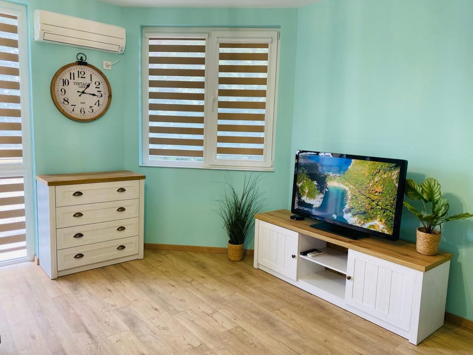 Communal lounge/ TV room, TV and multimedia