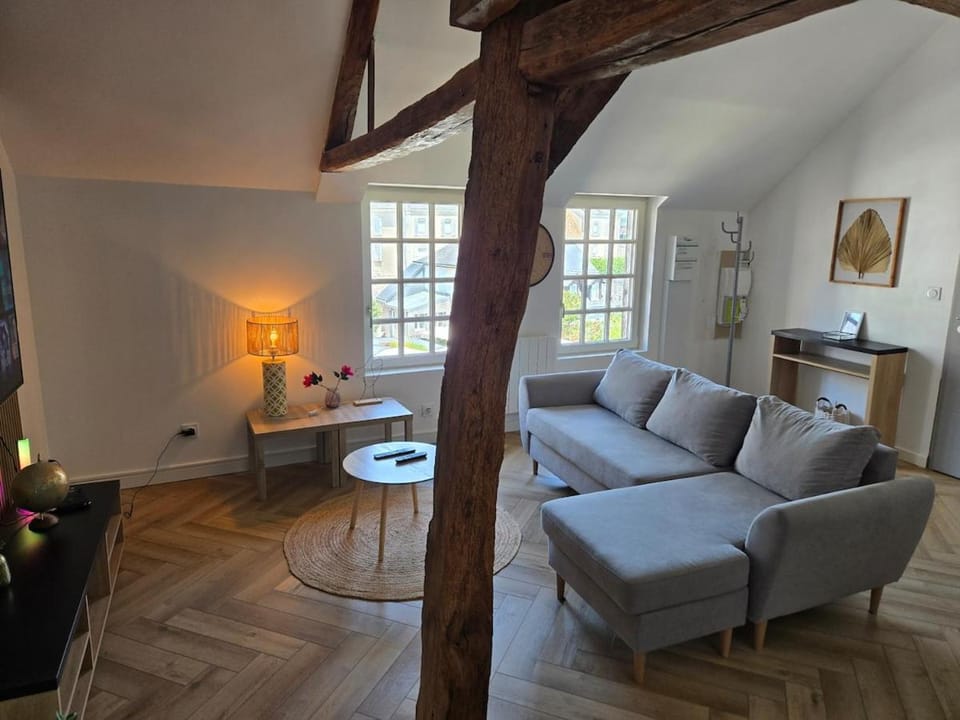 Appartement situé en hyper centre à coté du Moulin Apartment in Vendôme