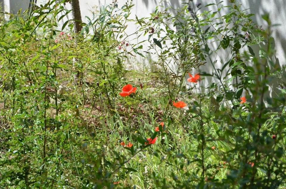 Chambre La Poésie au Chemin du Bois Bed and Breakfast in Occitanie