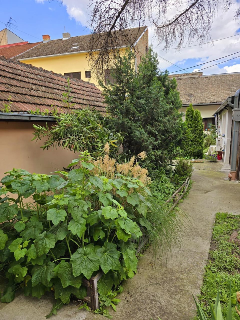 ETALON in the heart of Novi Sad Apartment in Novi Sad