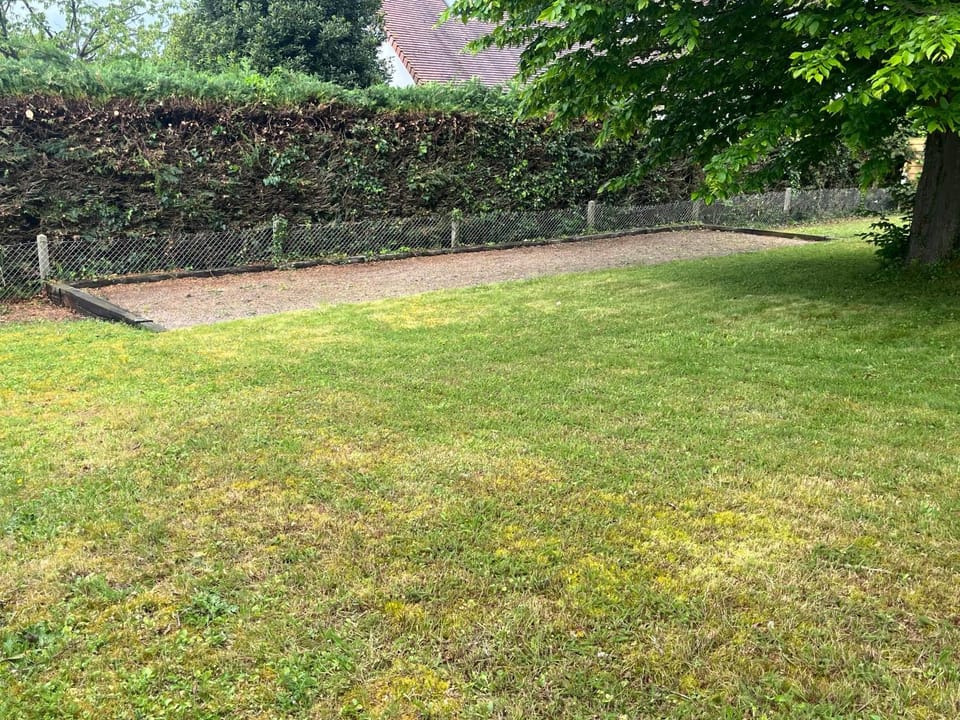 Children play ground, Garden, Garden view