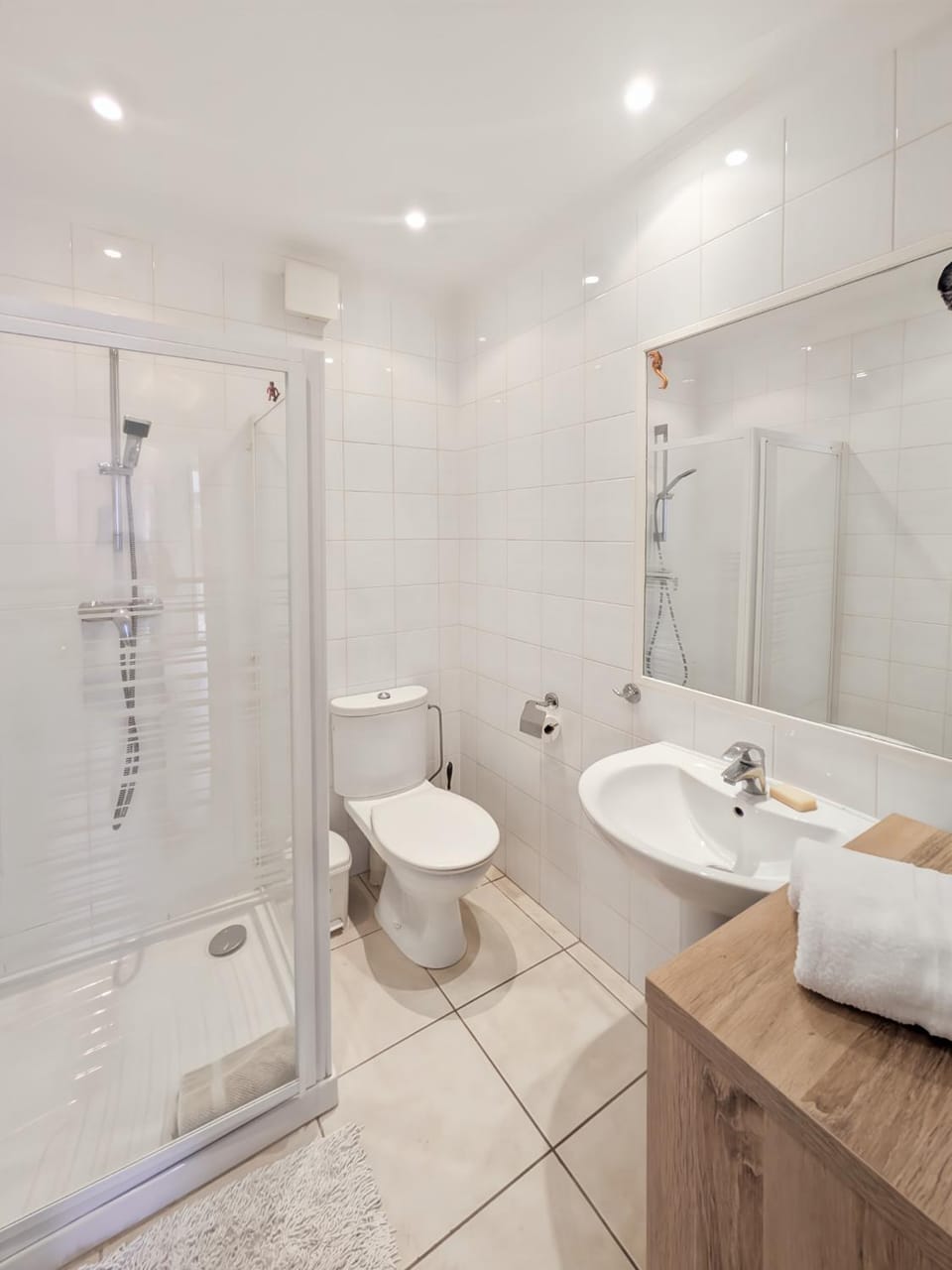 Shower, Toilet, Bathroom, towels