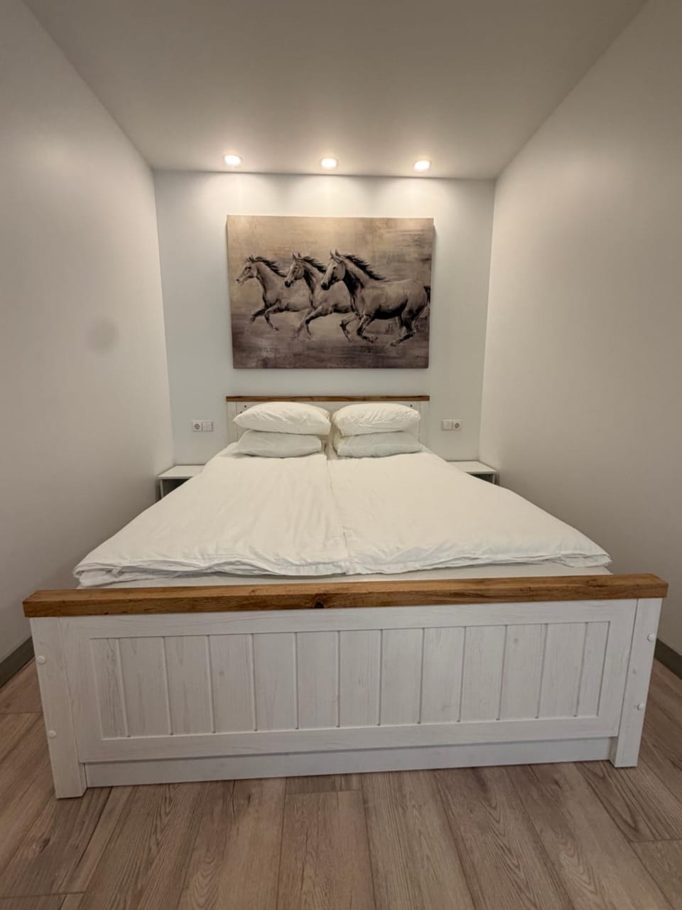 Crown Apartment Secret Corner Apartment in Vilnius County, Lithuania