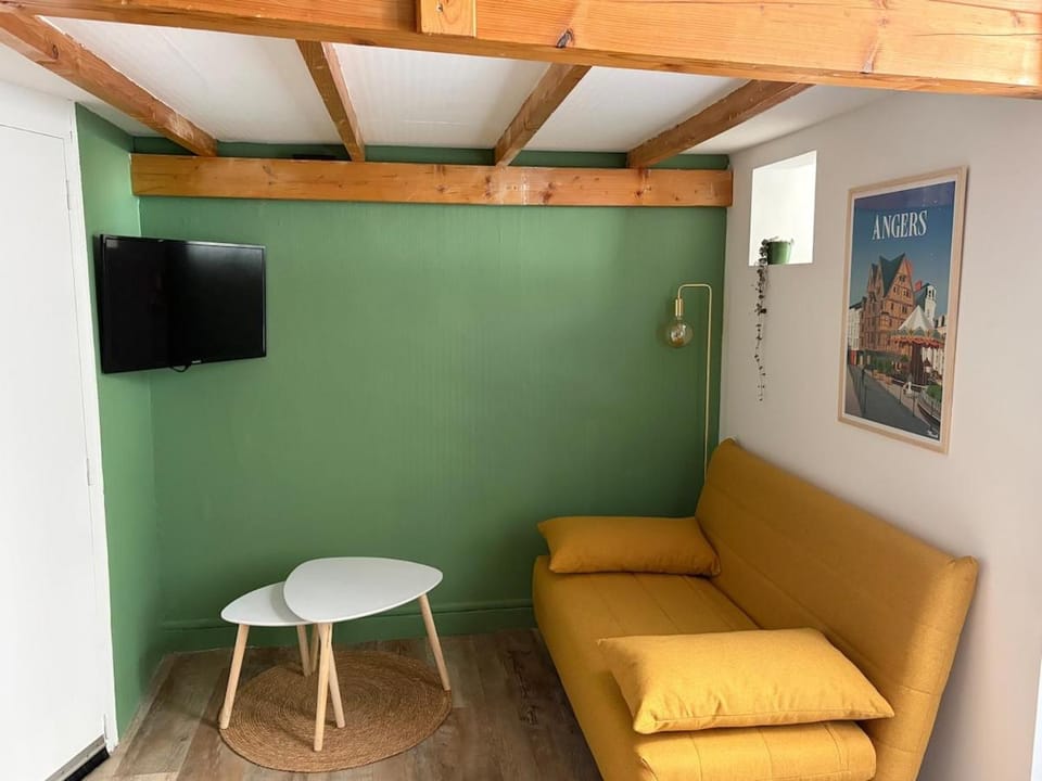 Le Roi Rene appartement cosy et confortable Angers centre entre gare et château Apartment in Angers