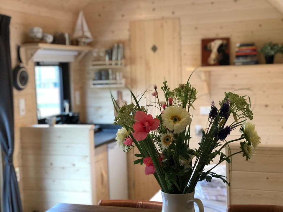 Kitchen or kitchenette, Photo of the whole room