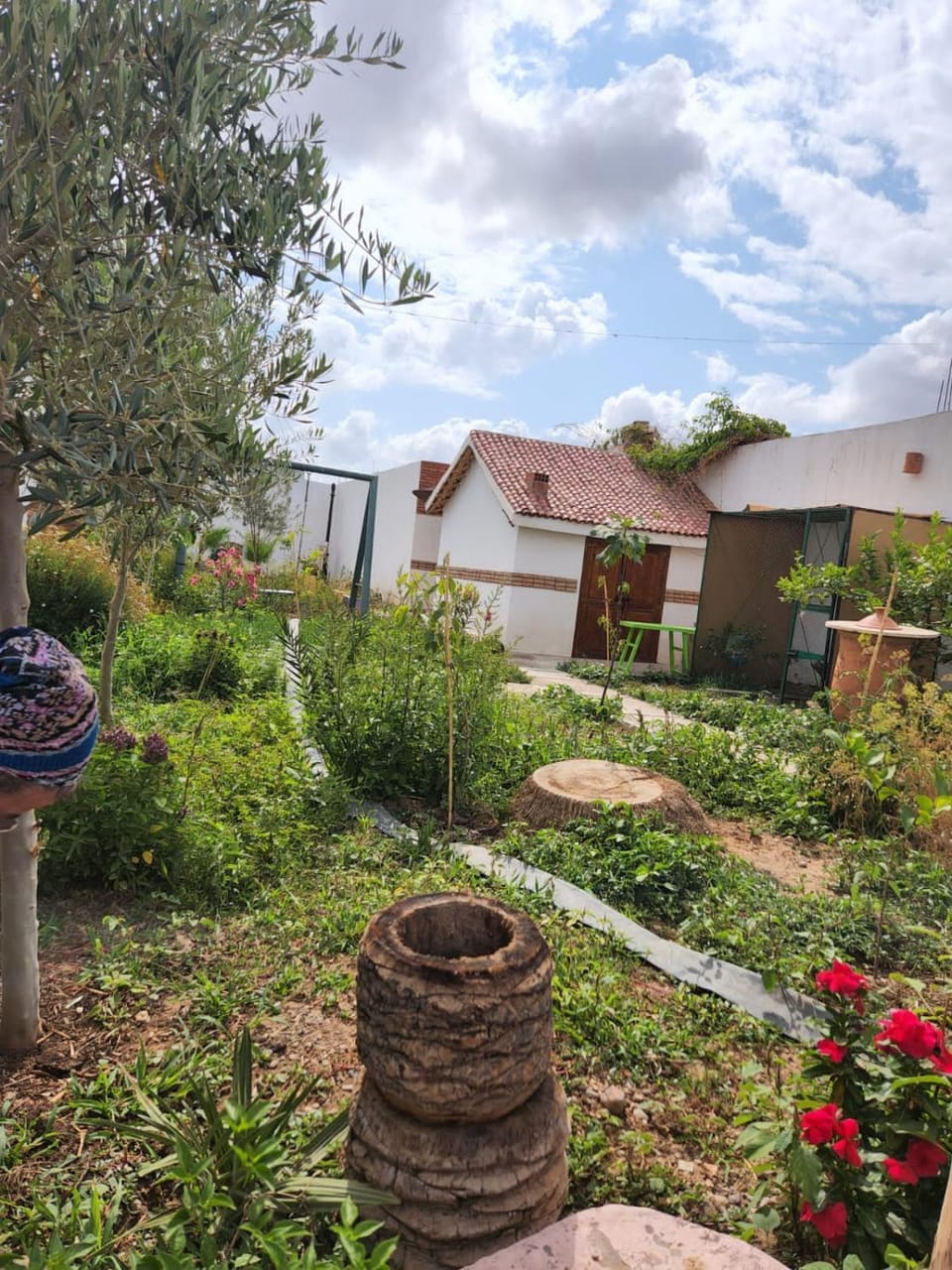 Séjour Traditionelle Villa in Souss-Massa