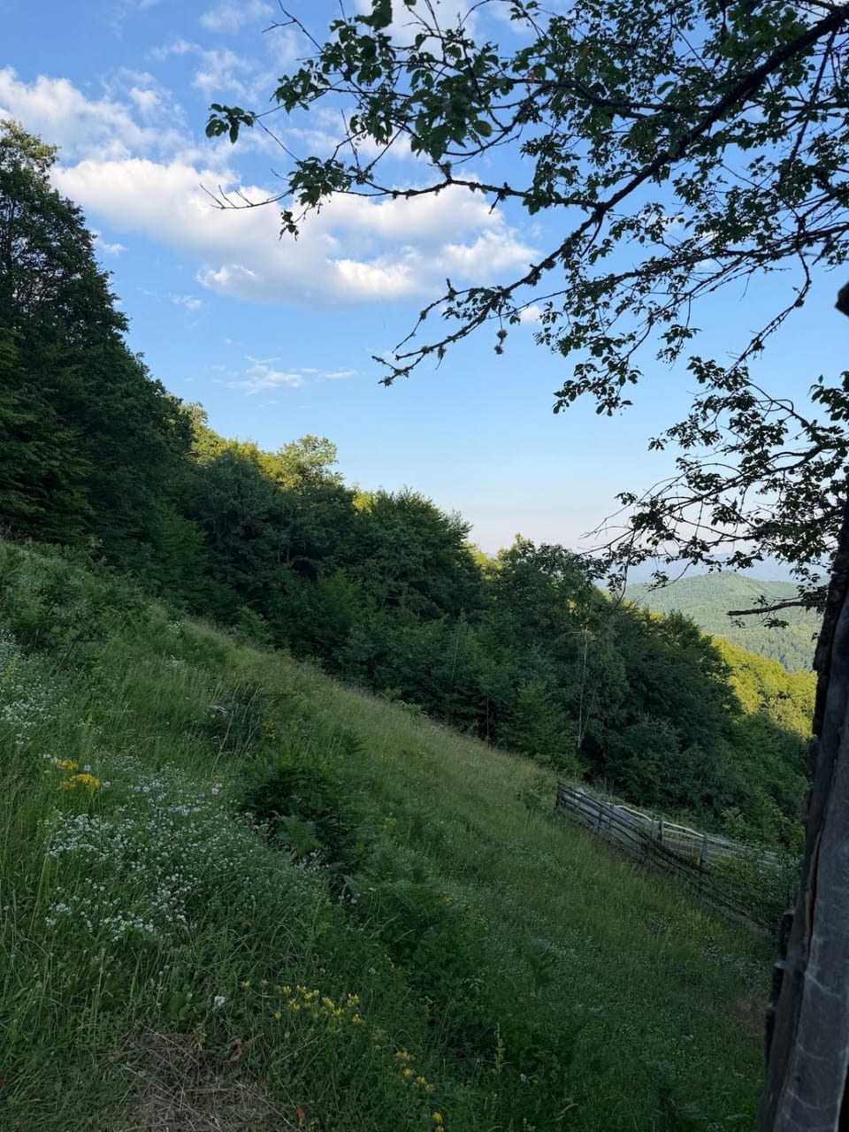112 Year Old Heritage Home-Mountain Views- Goražde Chalet in Federation of Bosnia and Herzegovina