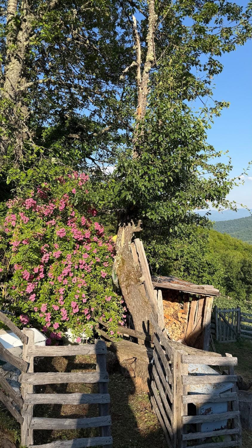 112 Year Old Heritage Home-Mountain Views- Goražde Chalet in Federation of Bosnia and Herzegovina