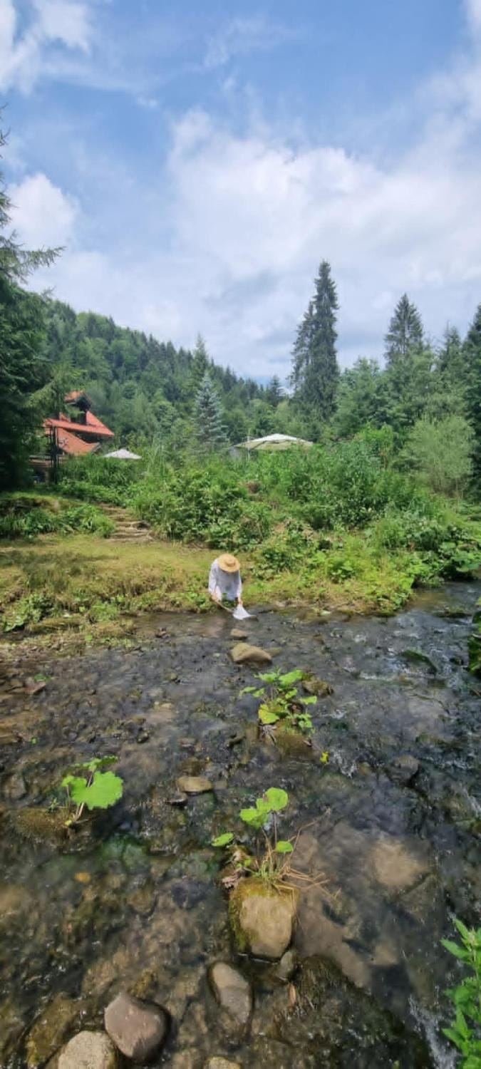 Willa Folusz Nature lodge in Lesser Poland Voivodeship