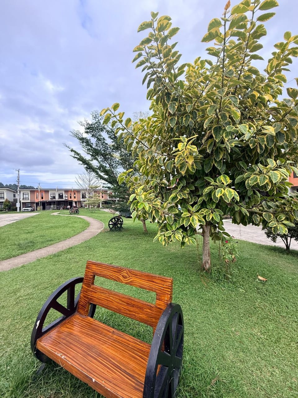 Natural landscape, Garden view