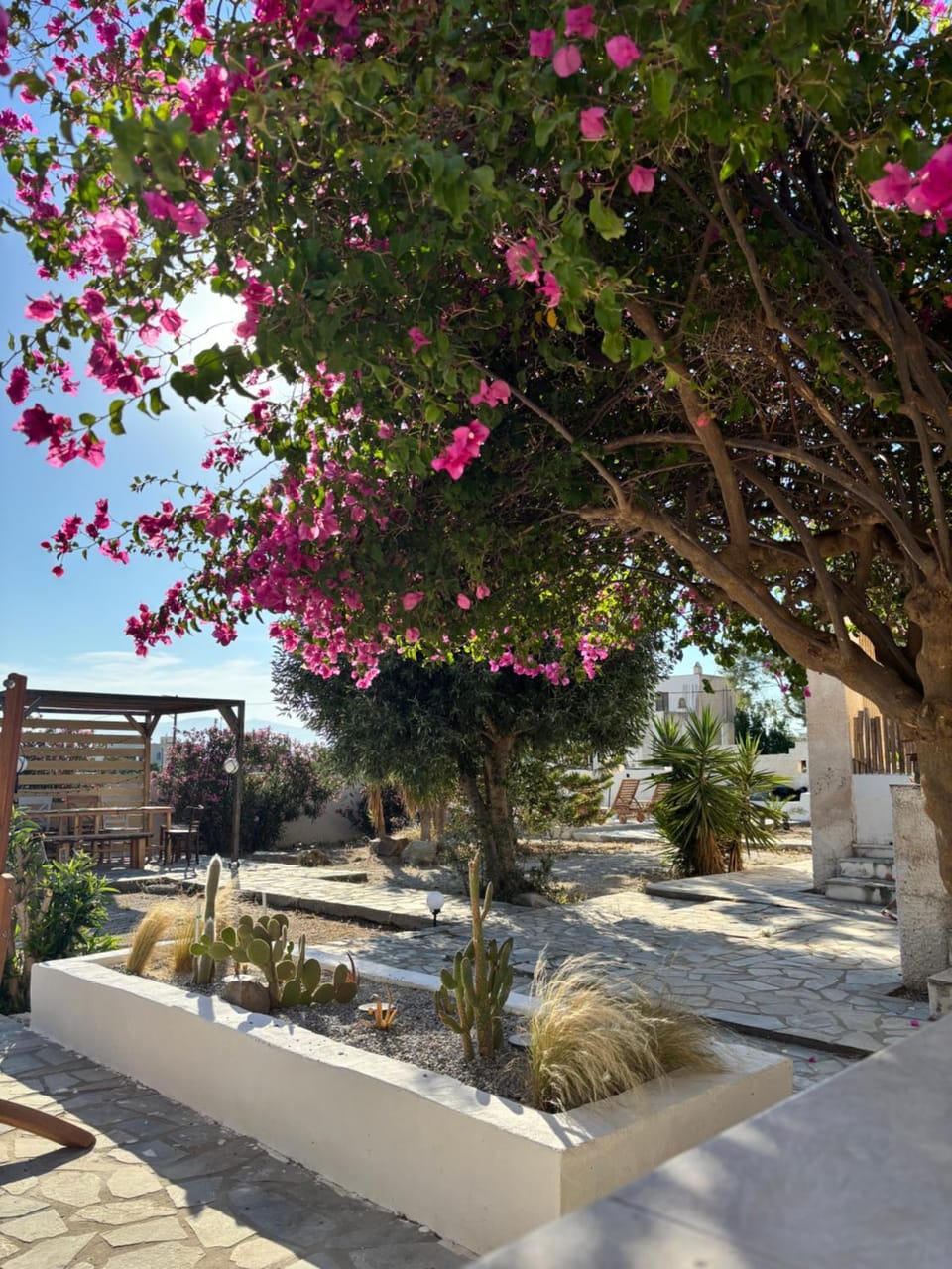 7Olives Onyx Boutique Apartment Apartment in Naxos, Naxos and Lesser Cyclades, Greece