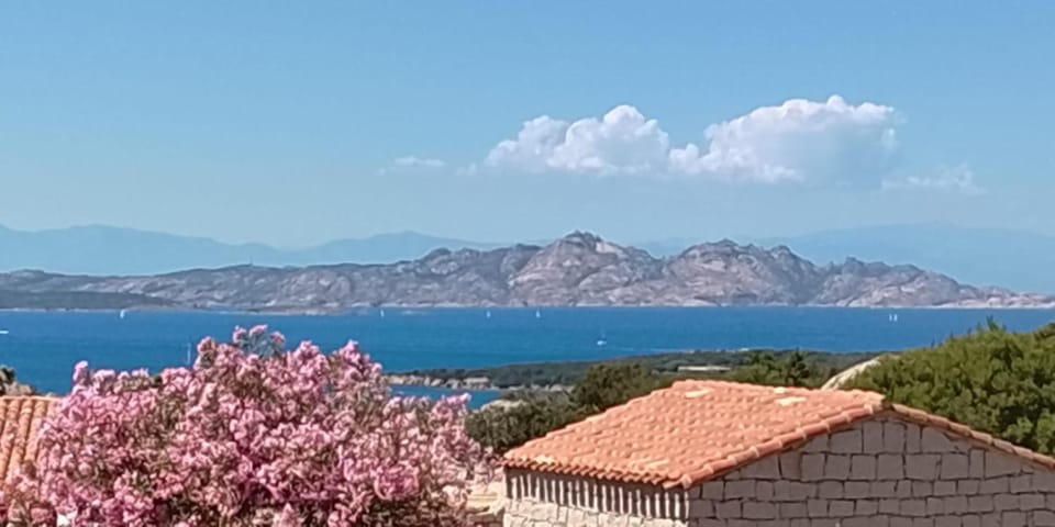 Awesome Stefania Sea View Apartment in Arzachena