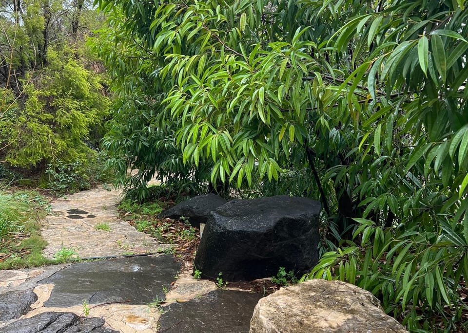 Natural landscape, Garden, Garden view