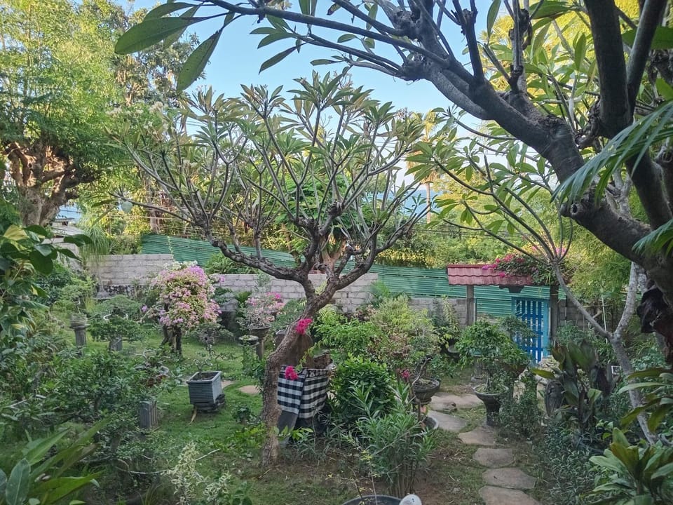 Day, Garden