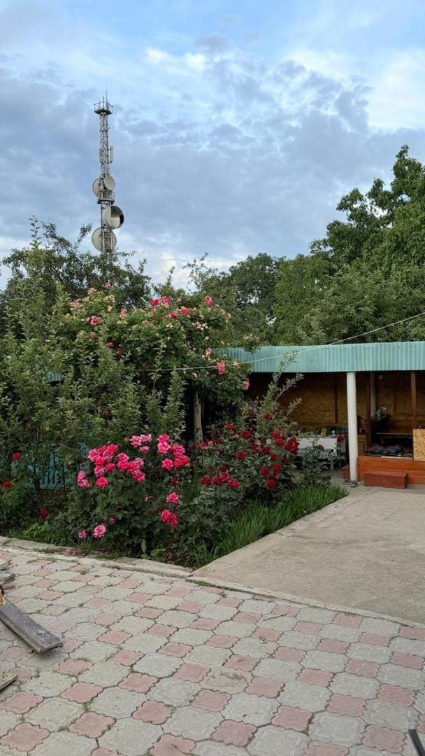Гостевой дом у тёти Жени Bed and Breakfast in Almaty Region, Kazakhstan