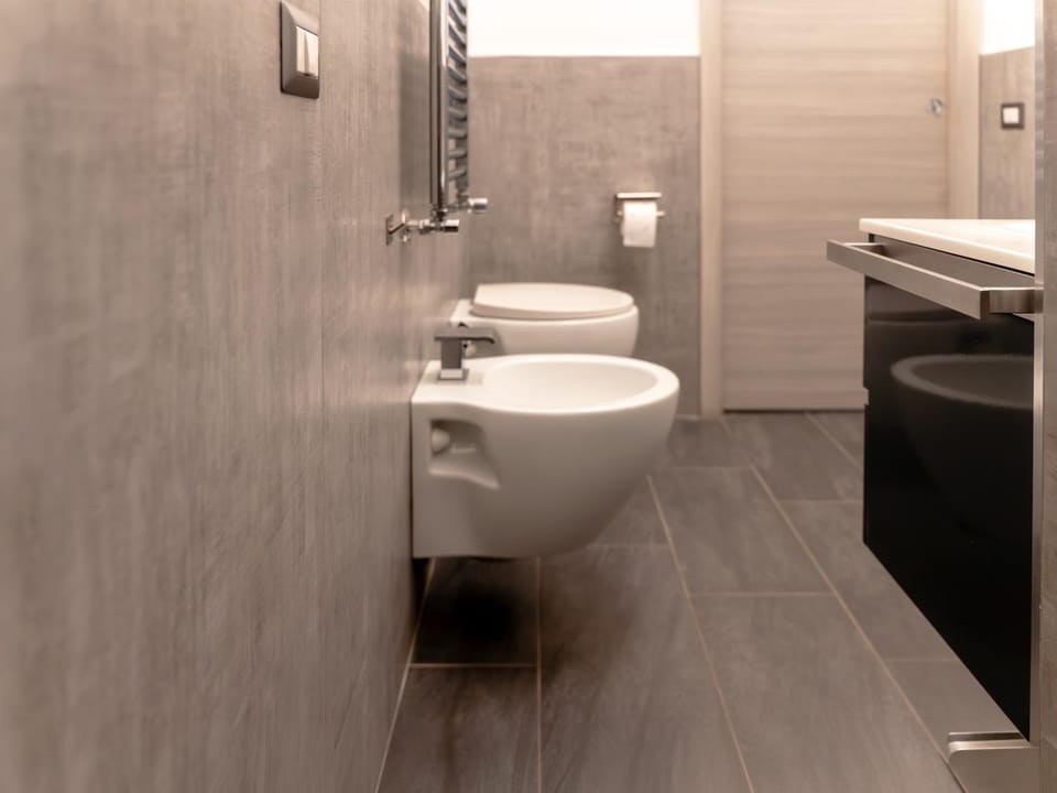Toilet, Bathroom, bidet
