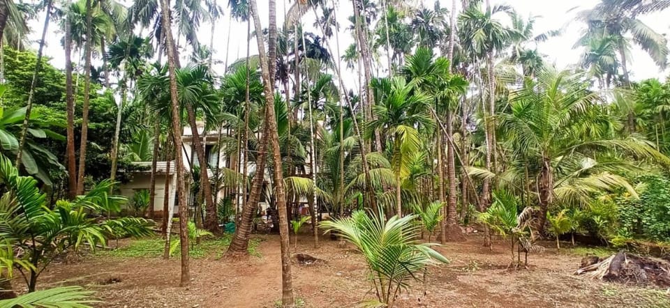 Ashoka Villa Vacation rental in Maharashtra