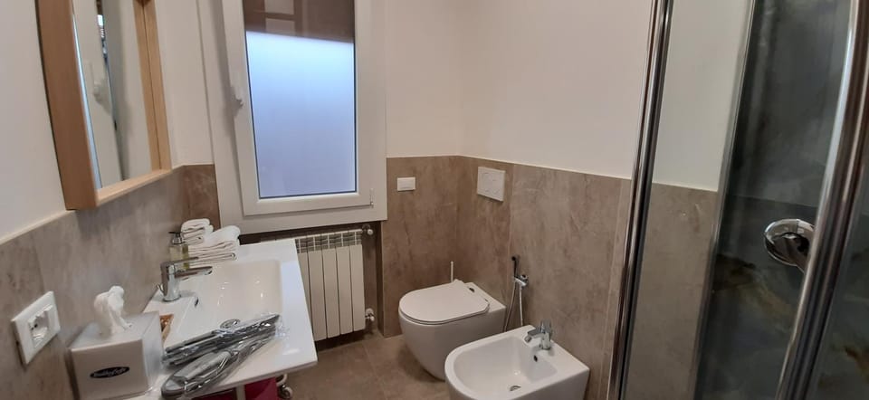 Shower, Toilet, Bathroom, bidet