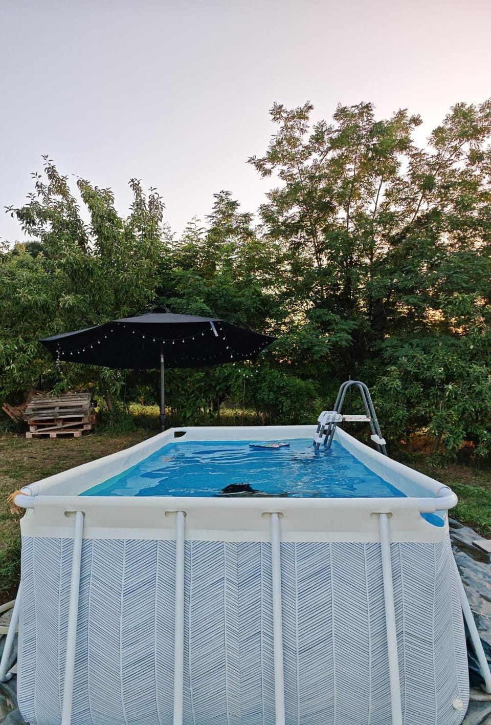 manja vista Villa in Serbia