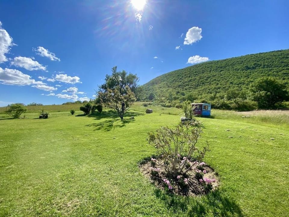 Maison de campagne - piscine privée - 8-10 pers House in Provence-Alpes-Côte d'Azur