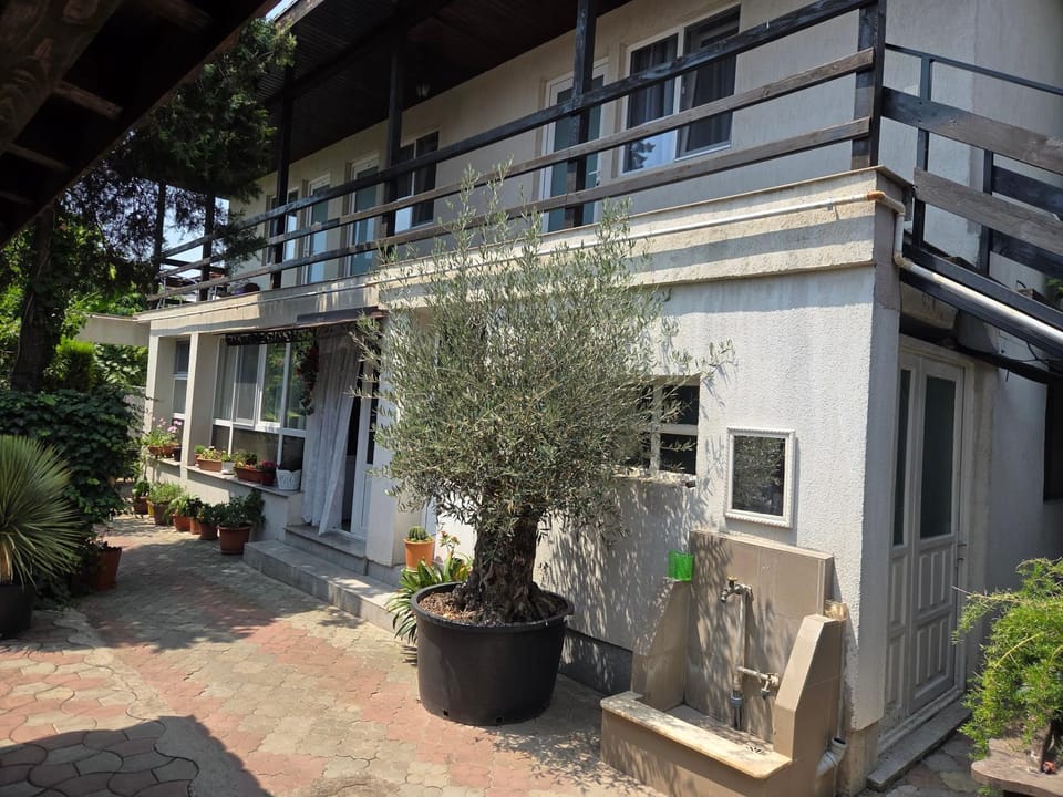 Casa Iasmina Vacation rental in Constanța County