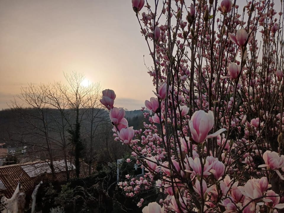 Un Sogno- Bacco Suite Bed and Breakfast in Lazio