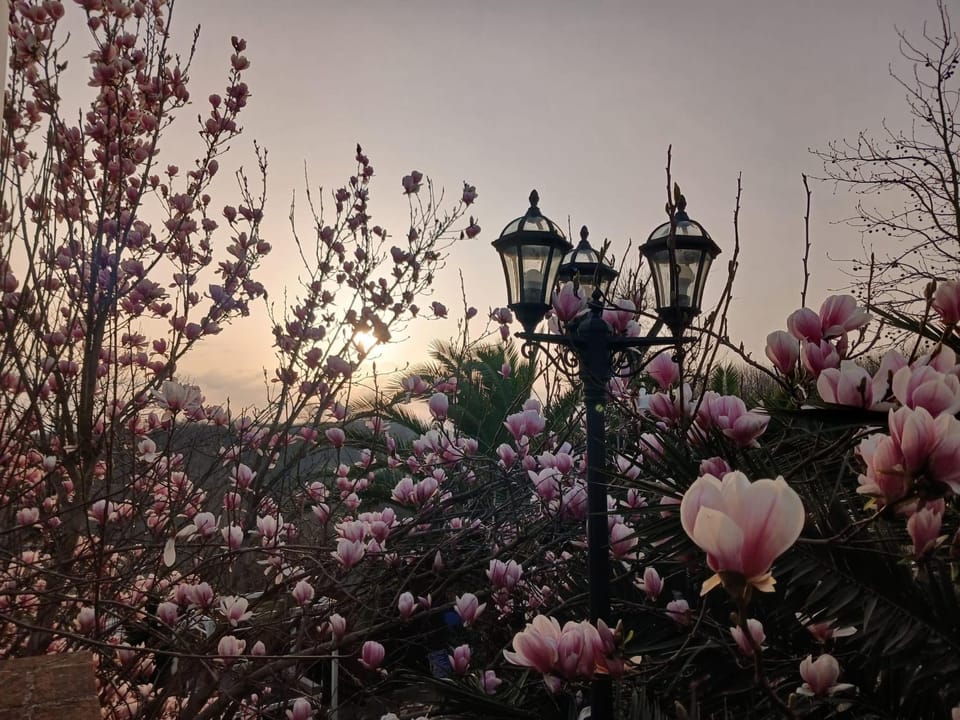 Un Sogno- Bacco Suite Bed and Breakfast in Lazio