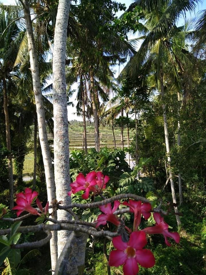 Natural landscape