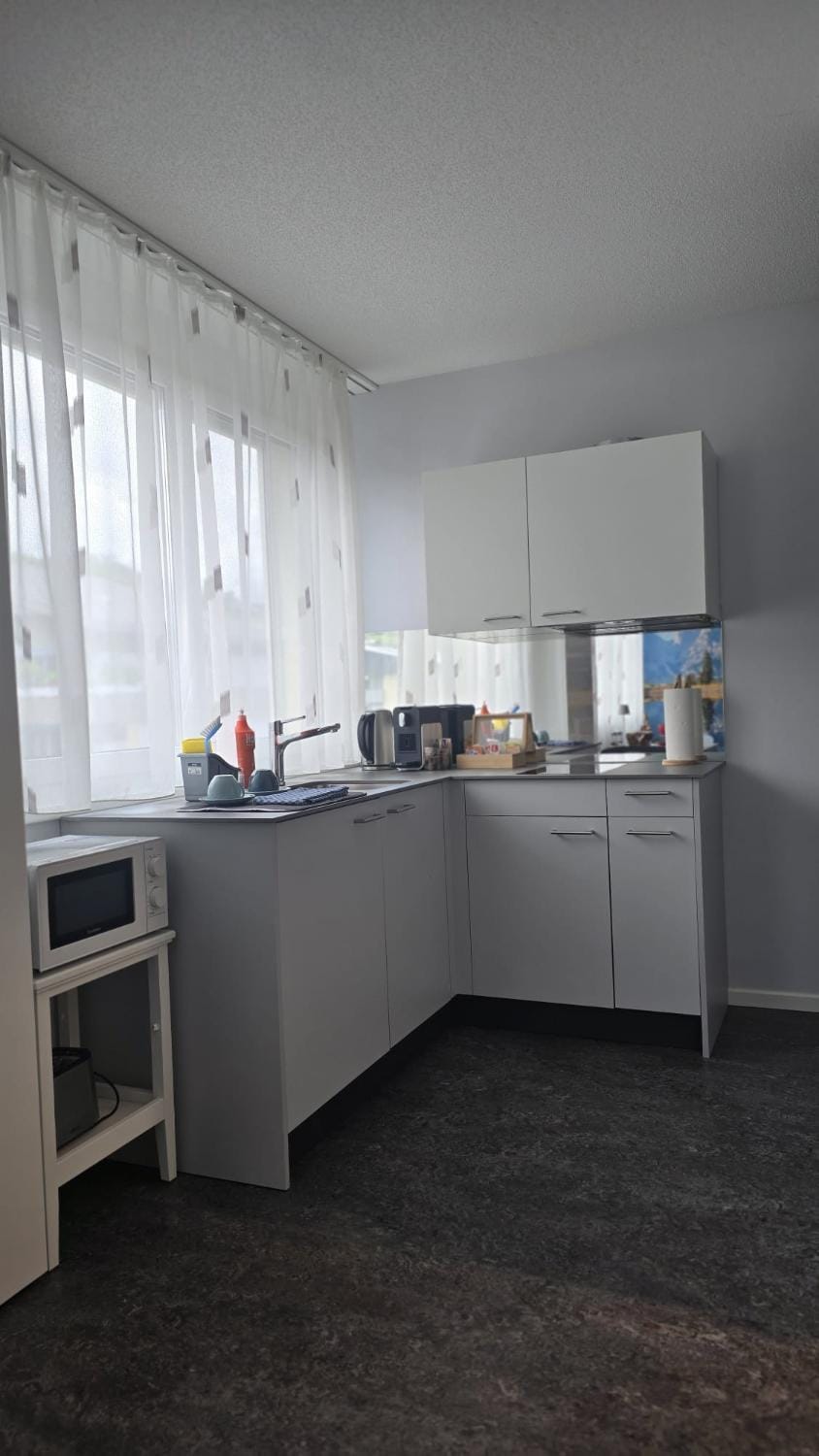 Kitchen or kitchenette, kitchen