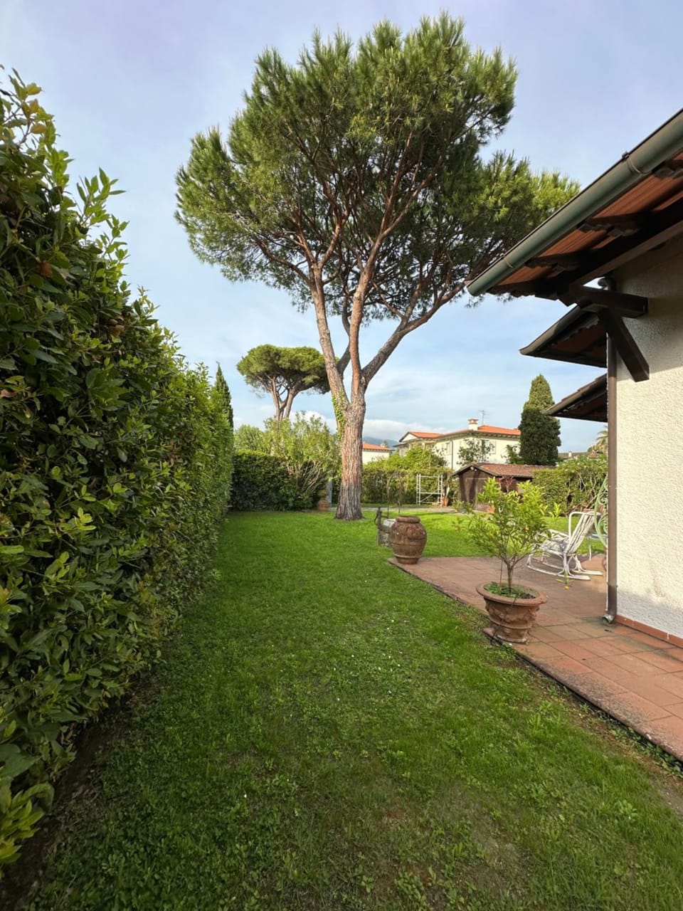 Garden view