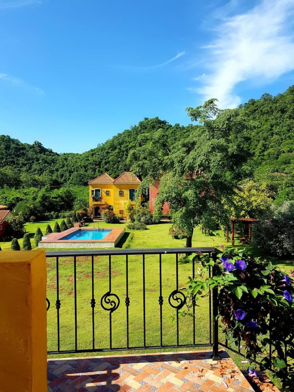 Balcony/Terrace, Garden view