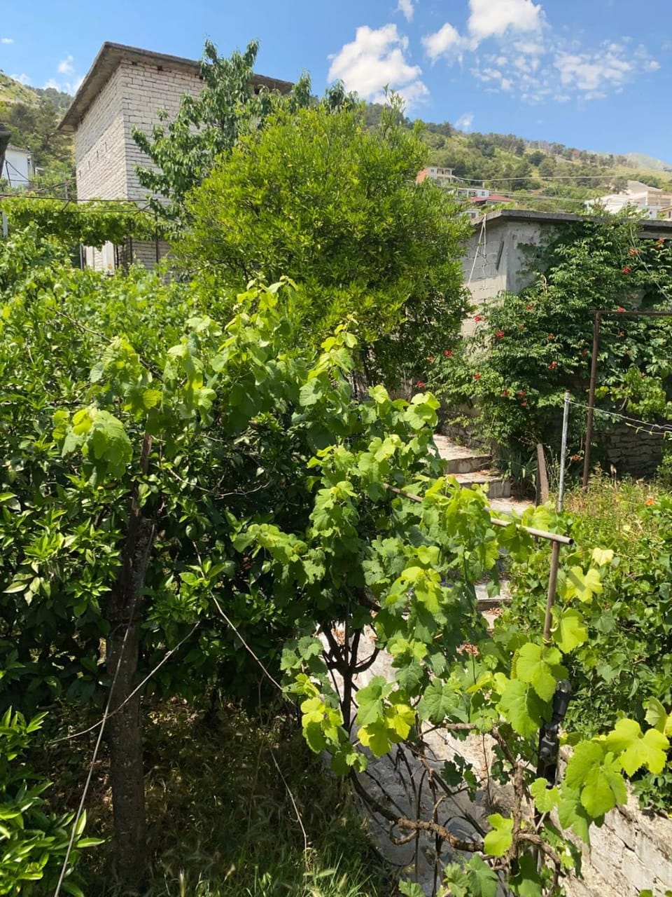 Flowers House Villa in Vlorë County, Albania