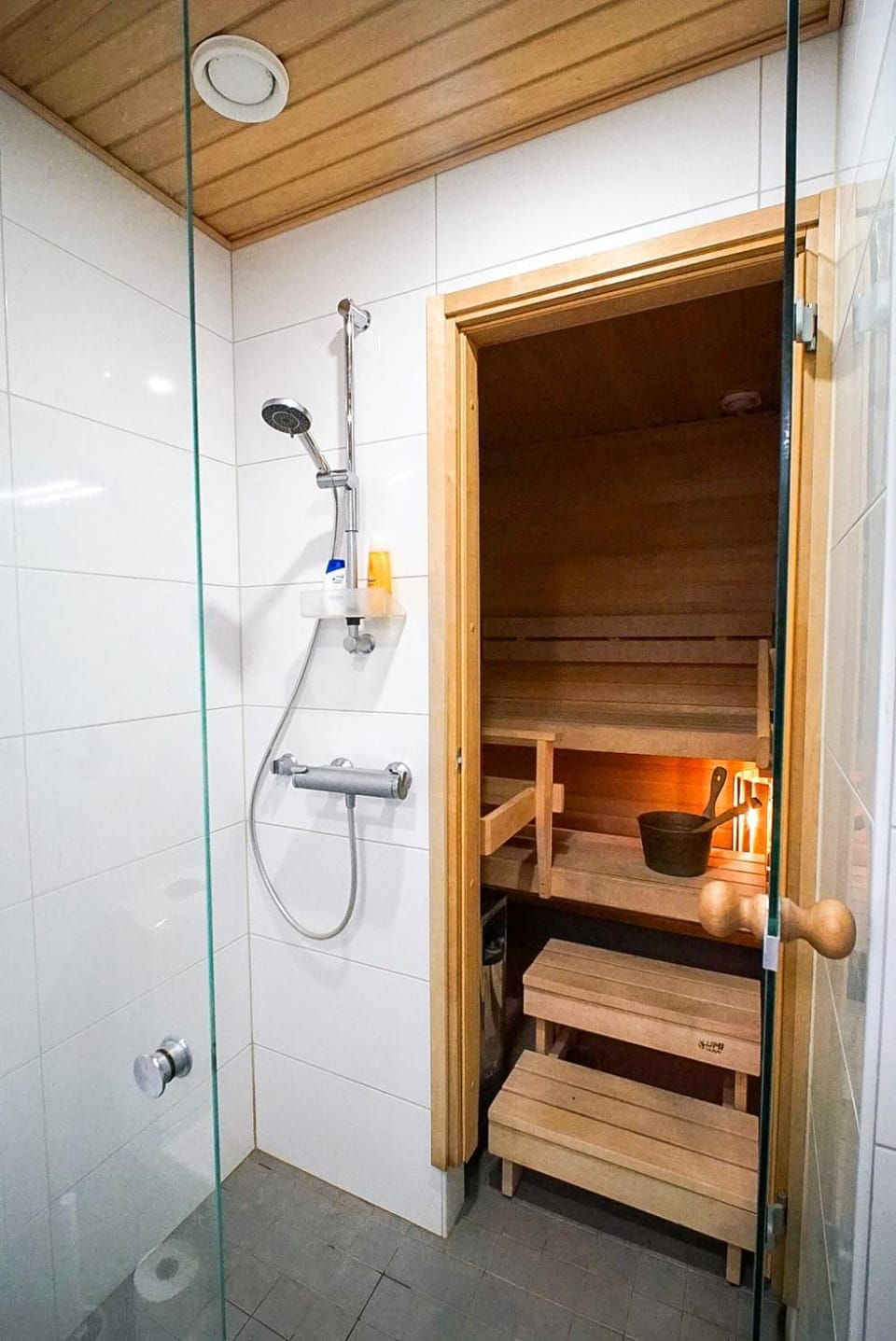 Shower, Sauna, Bathroom