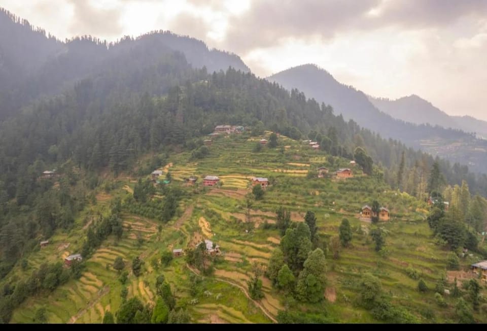 the jibhi nest cottage Chalet in Himachal Pradesh