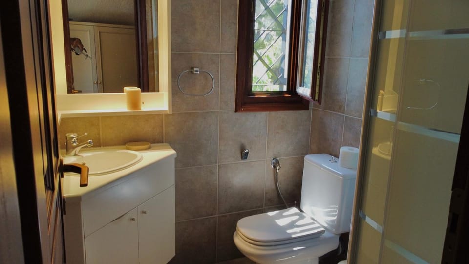 Shower, Toilet