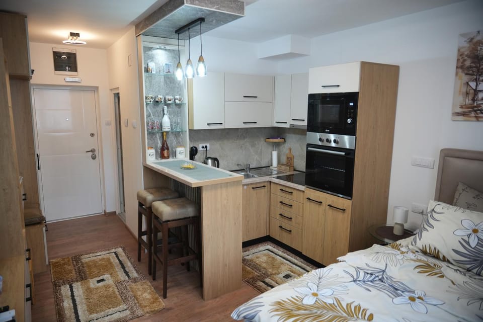 Studio la paris Apartment in Serbia