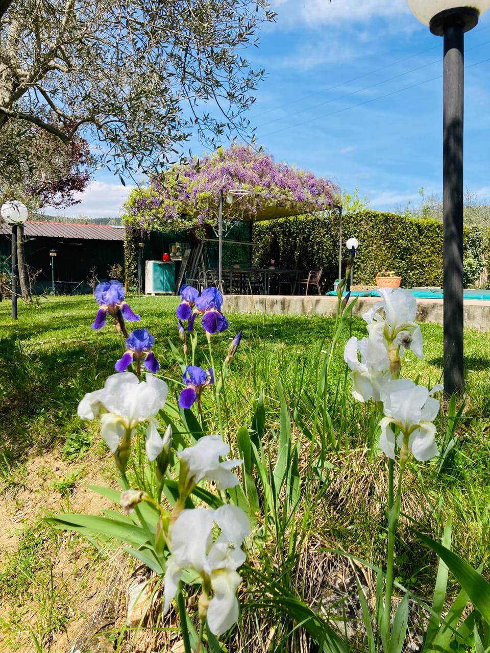 Le Coccole Del Trasimeno Country House in Umbria