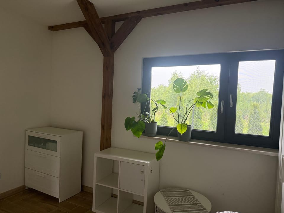 Chill and Grill Apartment -Starlink Internet, 30 km od Warszawy Apartment in Masovian Voivodeship