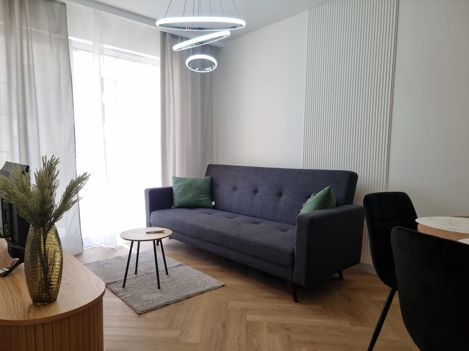 Skandynawski Apartament Winda Centrum Łodzi Apartment in Masovian Voivodeship