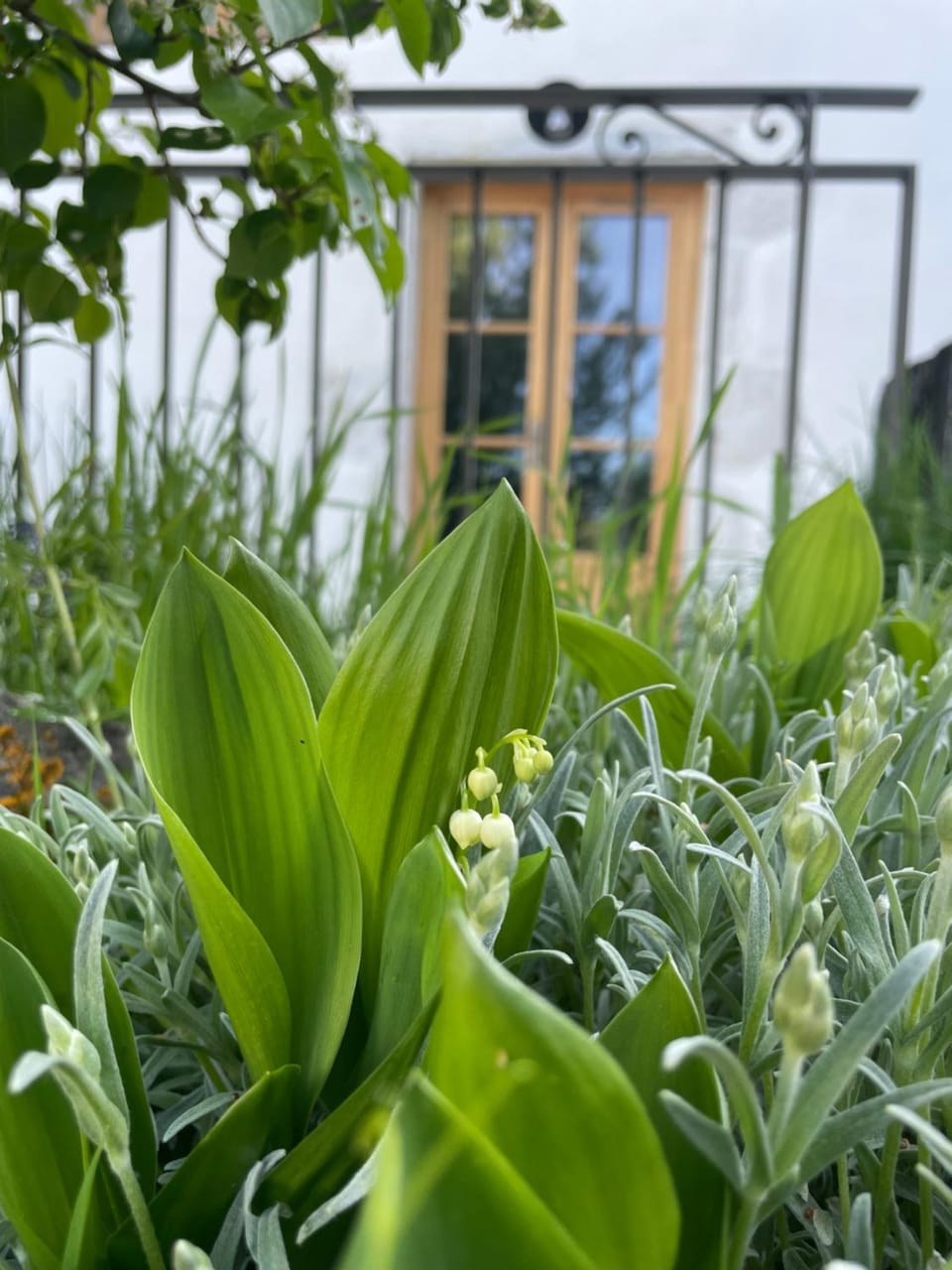 Facade/entrance, Spring