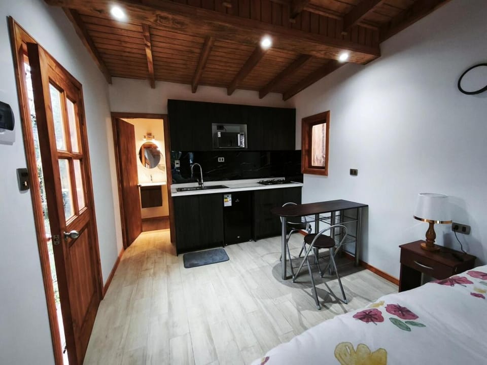 Hermosa cabaña Pucon Caburga 2 Apartment in Pucon