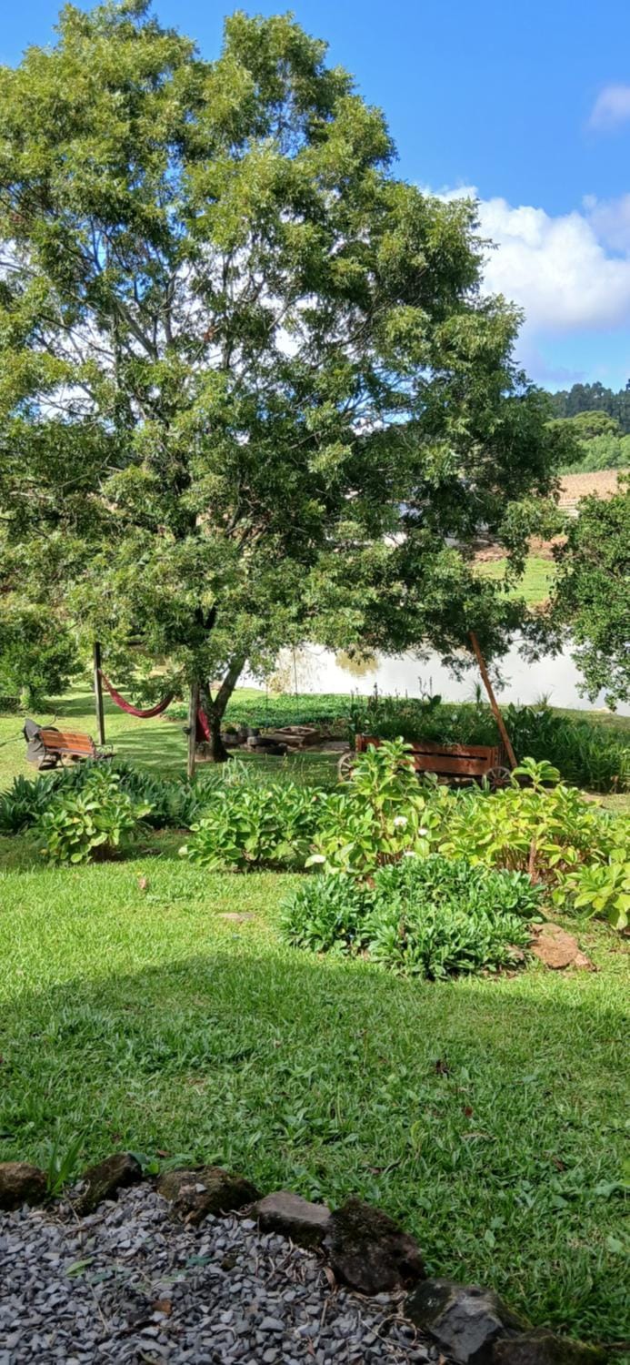 Lake view